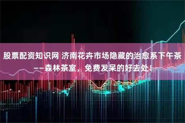 股票配资知识网 济南花卉市场隐藏的治愈系下午茶——森林茶室，免费发呆的好去处！